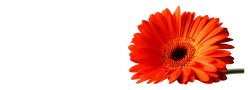 Annet Stéphanie Logo